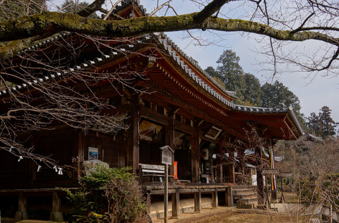 KONINJI_NARA-1
