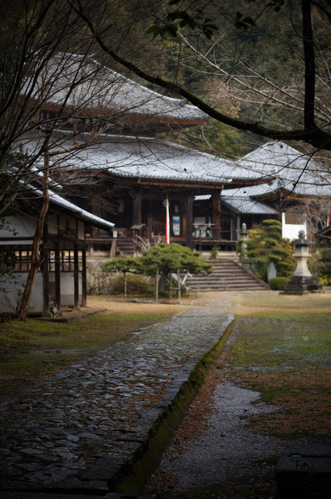 KONINJI_NARA-8