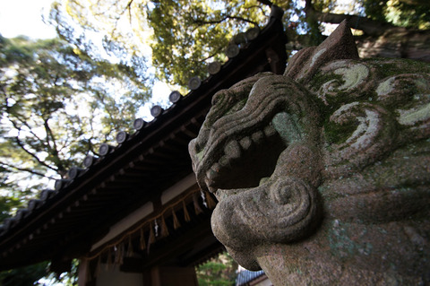 MATSUO_JINJA-4