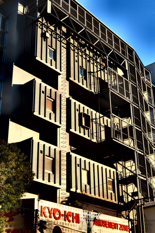 DYNAMIC_MORNING-5