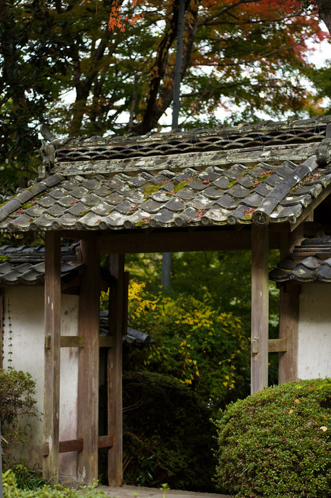 DAIGANJI_UDA-7