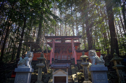 TOGAKUSHIJINJA_KAMOCHO-2