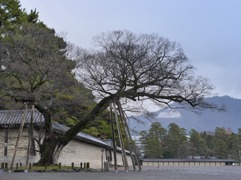 KYOTOGOSHO-1
