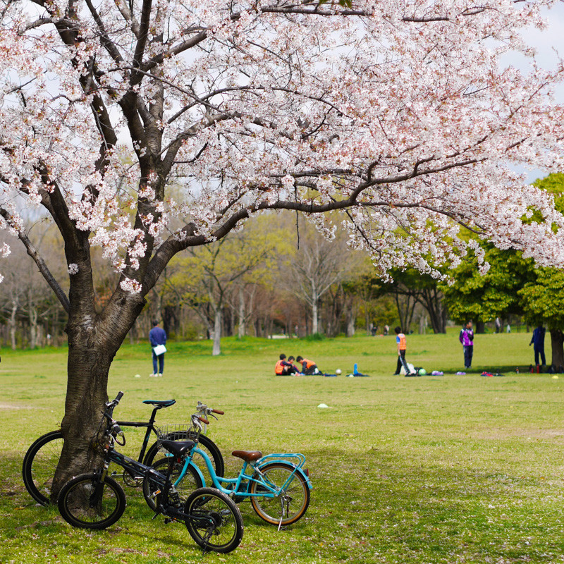 TSURUMI_GREENPARK-3