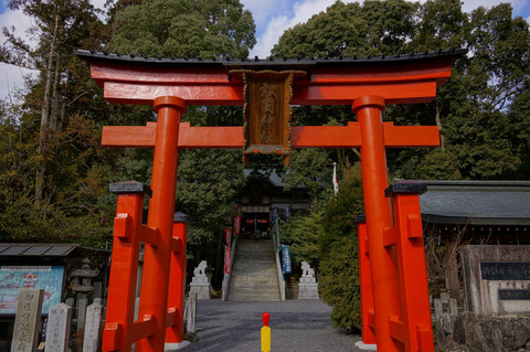 IGA_ICHINOMIYA-3
