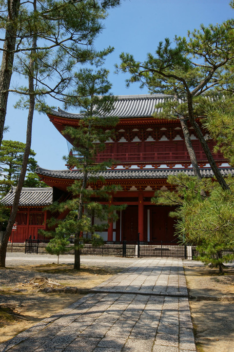 HOKONGOIN-5