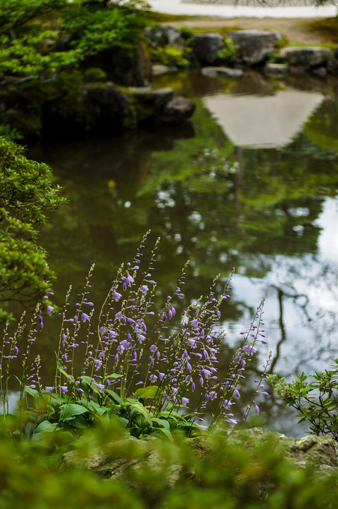 GINKAKUJI_HIGASHIYAMA-09662