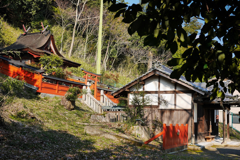 HATSUSE_KOMAINU-8