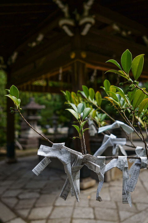 KamigoryoJinja-09960