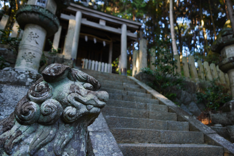 HATSUSE_KOMAINU-4