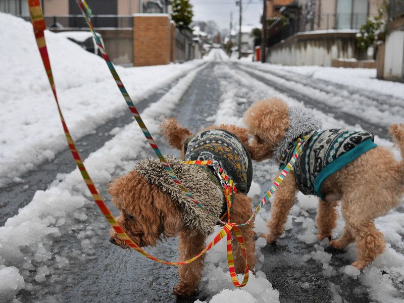 WINTER_WANCO-2