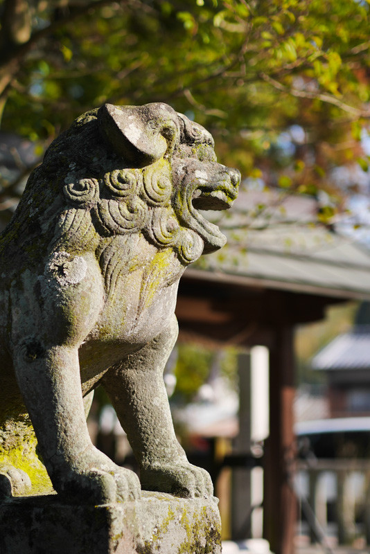 HATSUSE_KOMAINU-9