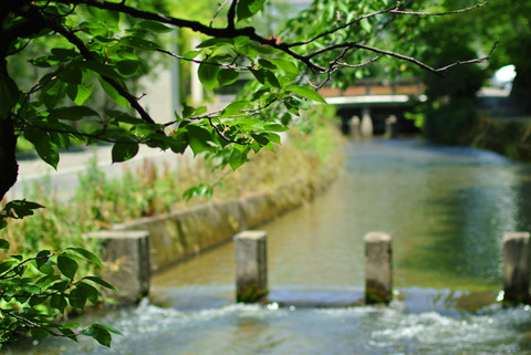 GYOJABASHI_SHIRAKWA-9