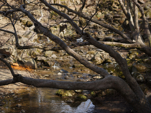 TODAIJI_TEMPLE-8