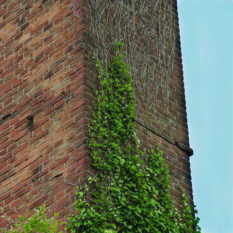 OLD_FACTORY-3