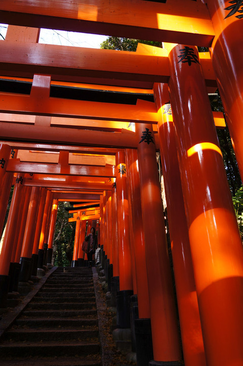 FUSHIMIINARI_YOU-4