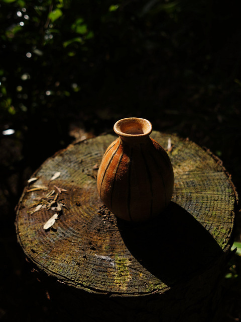SHIGARAKI_YAKIMONO-3
