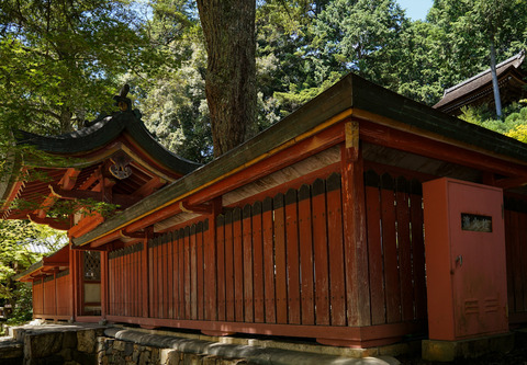 TAKAO_JINGOJI-08700