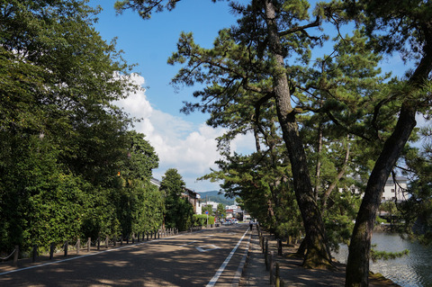HIKONE_KONKIJO-08518