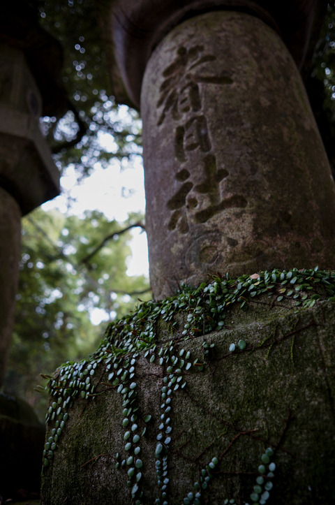 Kasuga_Taisha