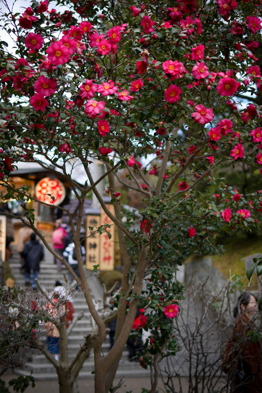 KIYOMIZUDERA-2