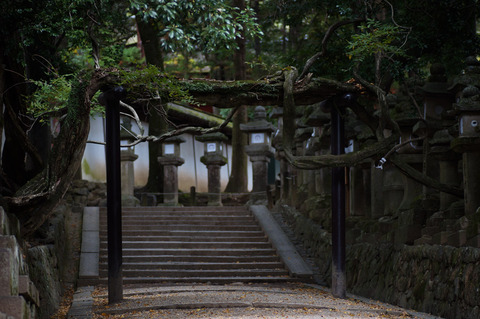Kasuga_Taisha-3
