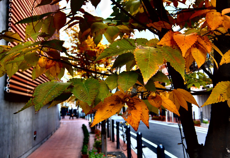DYNAMIC_MORNING-3