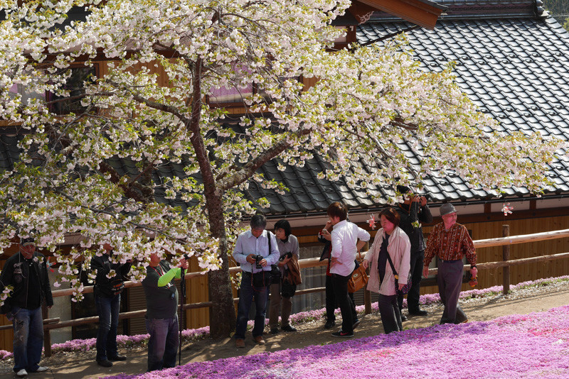 HANAMOMO_HIDA-1