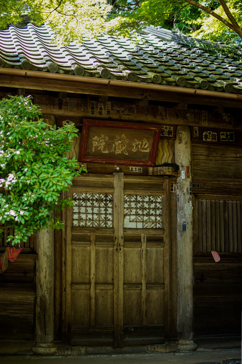 TAKAO_JINGOJI-08799