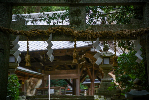 TOMIJINJA_NIGIHAYA-2