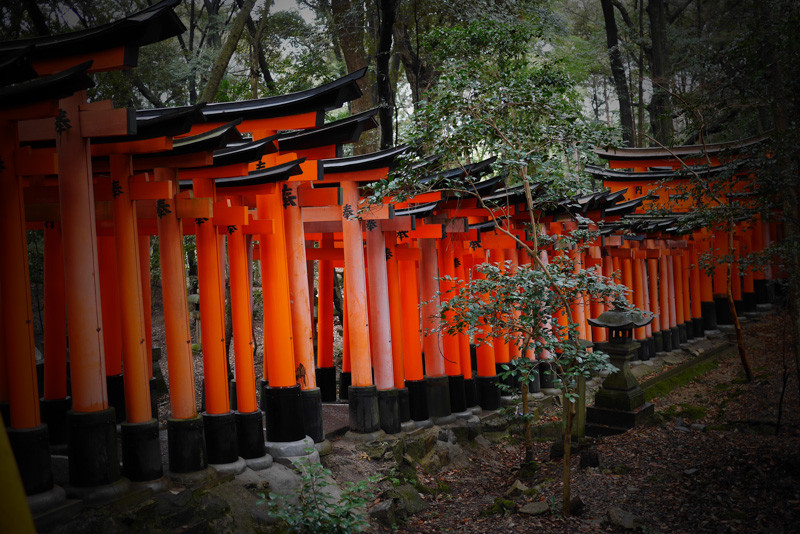 FUSHIMIINARI2-1