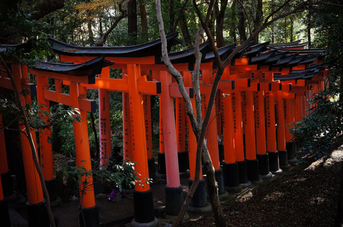 FUSHIMIINARI_YOU-3
