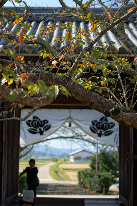 TACHIBANA_TEMPLE-2