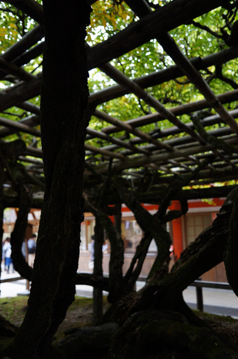 Kasuga_Taisha-7
