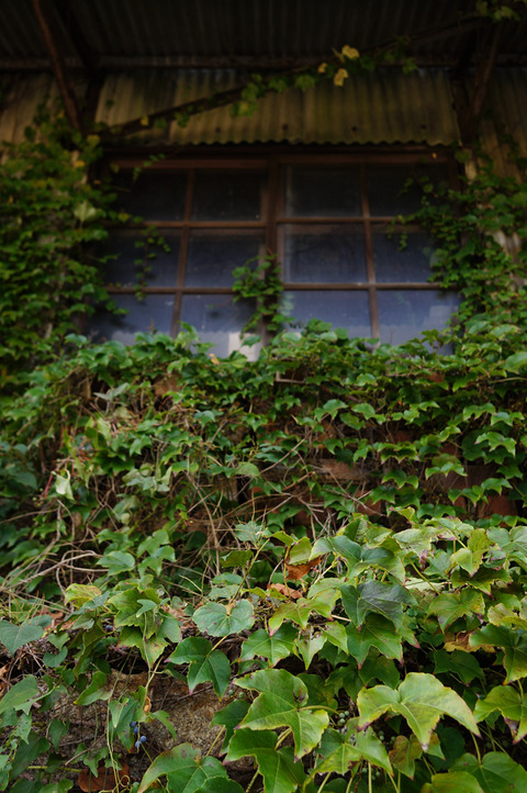 SHIGARAKI_YAKIMONO-2