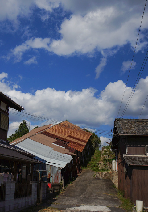 SHIGARAKI_YAKIMONO-6