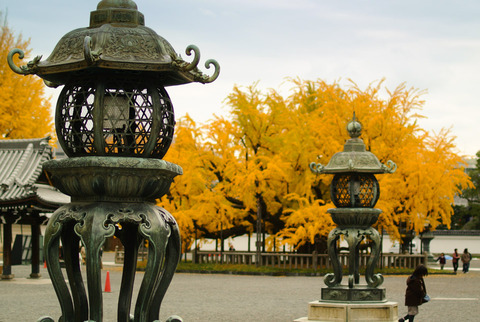 ICHO_HONGANJI-07