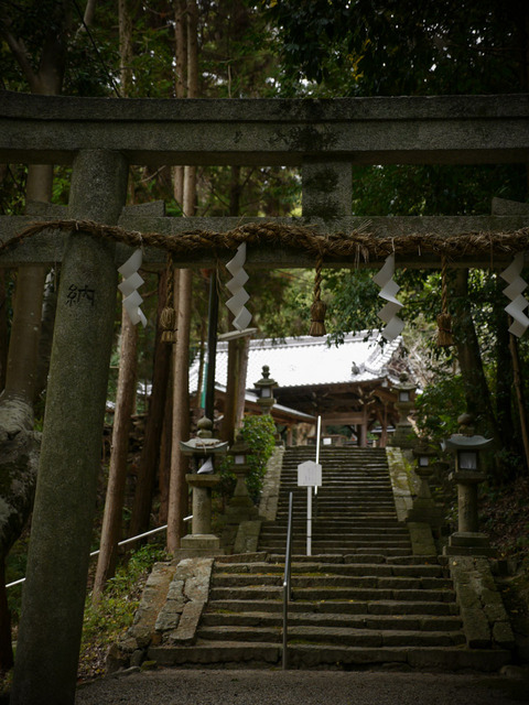 TOMIJINJA_NIGIHAYA-1