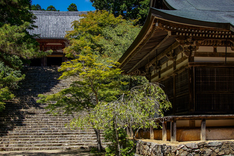 TAKAO_JINGOJI-08779