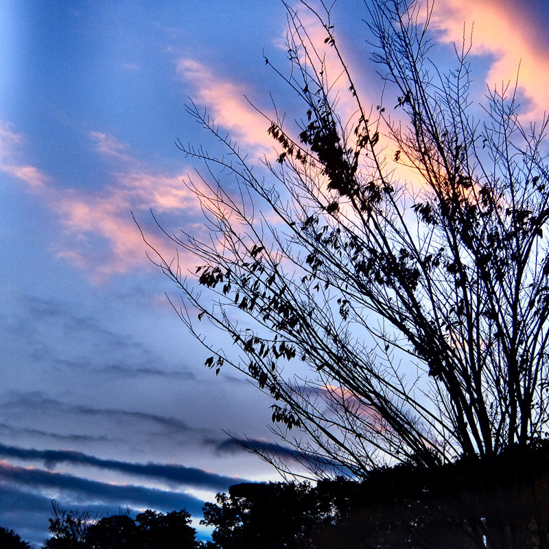 DYNAMIC_MORNING-7