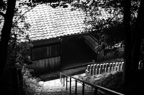 MITAJINJA_IGA-09743