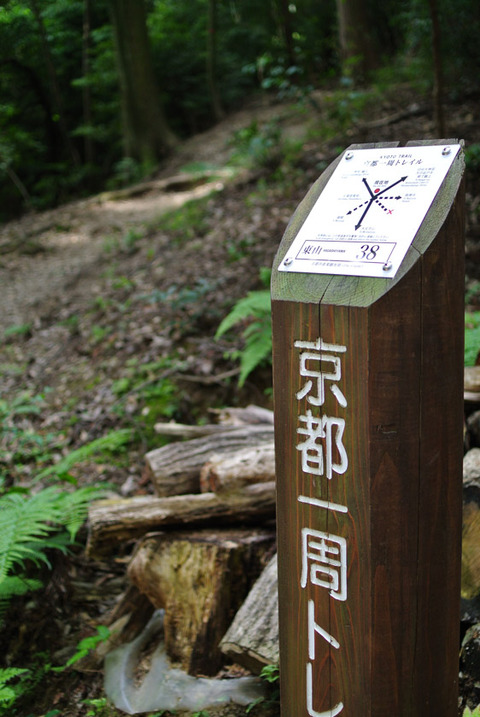 HYUGA_YAMASHINA-7238