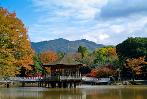 NARA_TAKABATAKE
