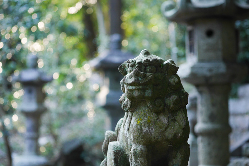 HATSUSE_KOMAINU-1