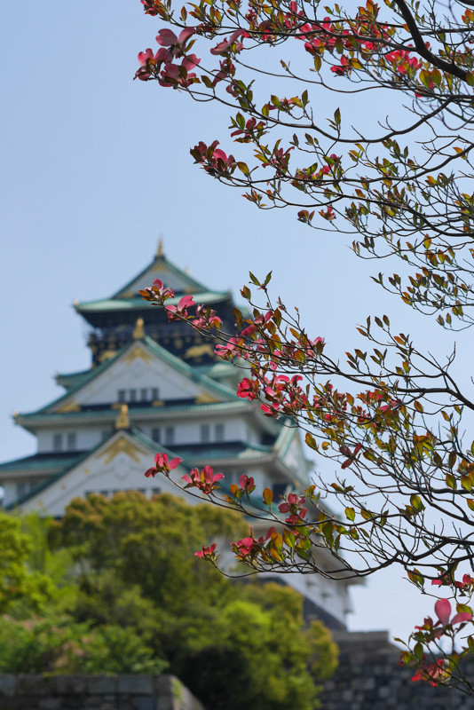WNKO_OSAKA-4