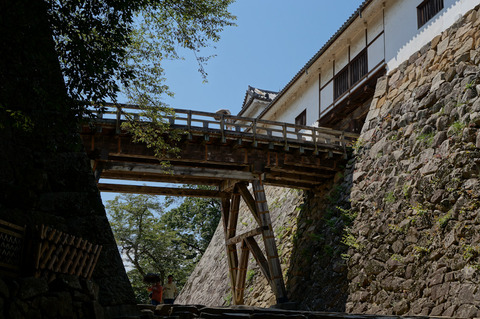 HIKONE_KONKIJO-08390