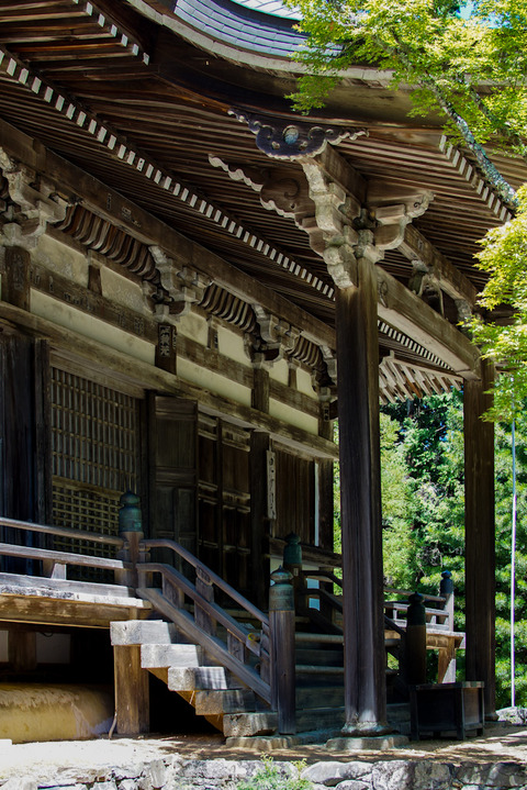 TAKAO_JINGOJI-08786