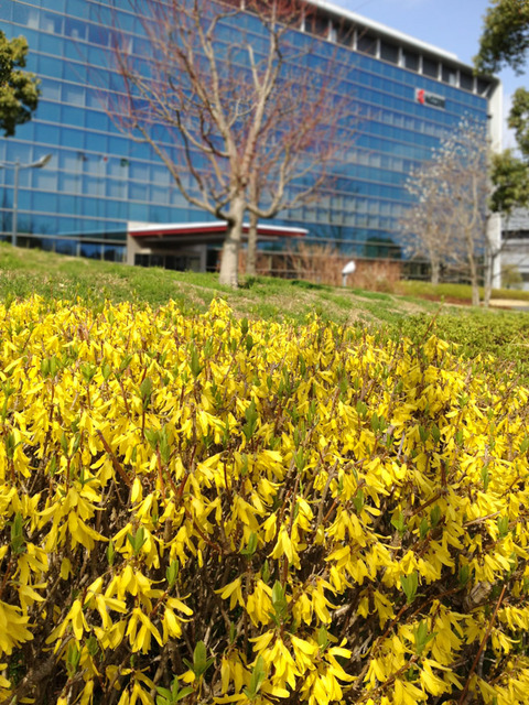 iPHONE_SNAP-3