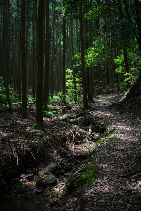 HYUGA_YAMASHINA-7235