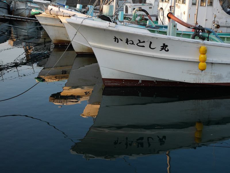 SHIROKO_PORT-5